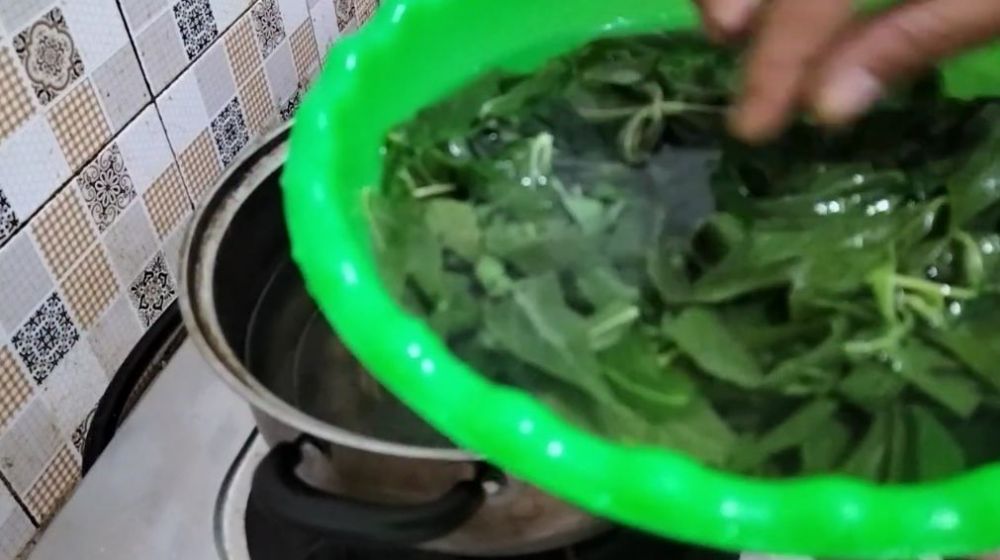 Cukup 3 menit, begini trik merebus daun singkong agar empuk dan warnanya hijau meski tanpa baking soda