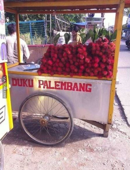 Potret kocak tulisan di gerobak pedagang Berbagai sumber