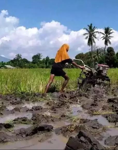 Potret kocak penampakan di kebun Berbagai sumber Potret kocak penampakan di kebun Berbagai sumber