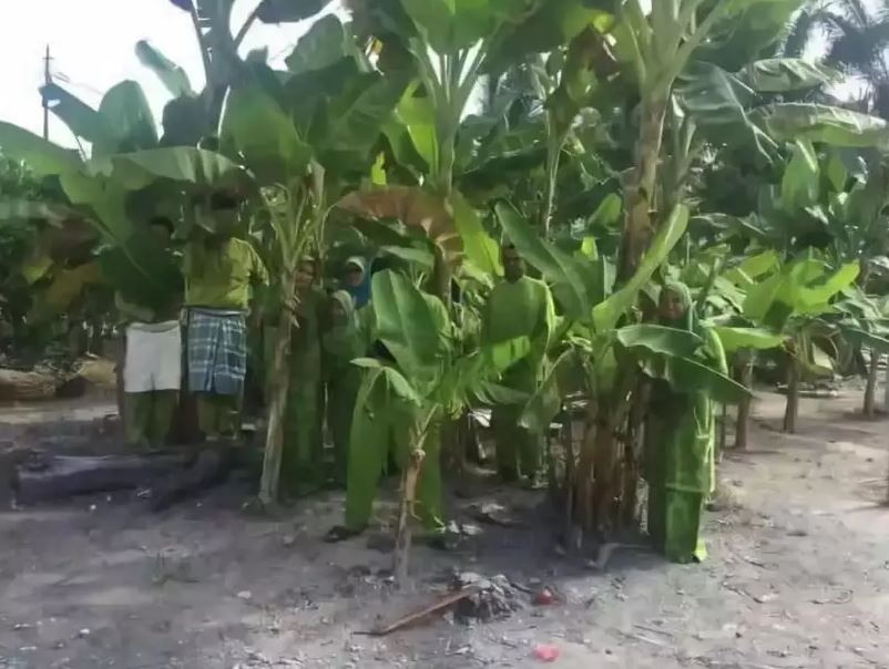 Potret kocak penampakan di kebun Berbagai sumber Potret kocak penampakan di kebun Berbagai sumber