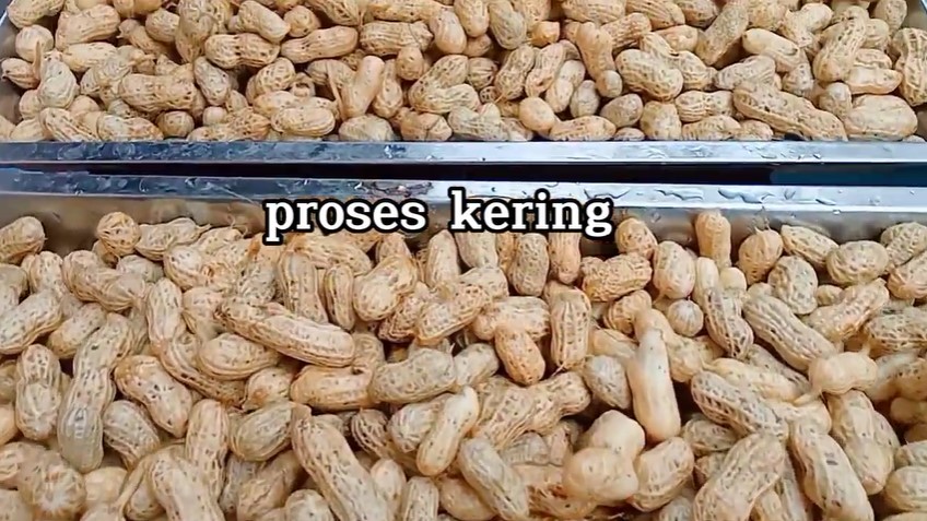 Bukan direbus atau digoreng, ini trik masak camilan kacang tanah agar empuk dan tak cepat basi