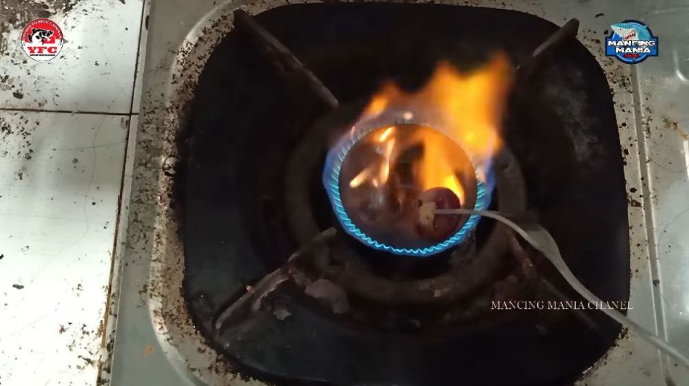 Cukup pakai 2 bahan dapur, begini cara mengobati luka akibat tertusuk duri atau terkena patil ikan