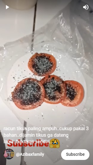 Cuma pakai 3 bahan dapur, begini cara bikin racun tikus yang ampuh