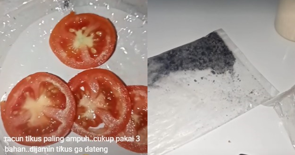 Cuma pakai 3 bahan dapur, begini cara bikin racun tikus yang ampuh