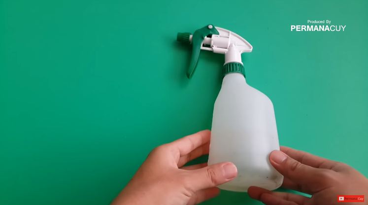 Modal 1 bahan dapur, begini cara mengusir cicak tanpa menyentuh atau bikin perangkap