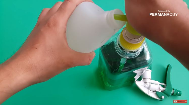 Modal 1 bahan dapur, begini cara mengusir cicak tanpa menyentuh atau bikin perangkap