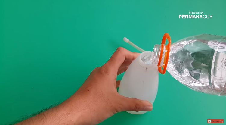 Modal 1 bahan dapur, begini cara mengusir cicak tanpa menyentuh atau bikin perangkap