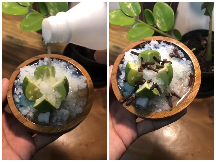 Bermodal 3 bahan dapur, begini trik mengusir nyamuk dan kecoak secara alami tanpa semprotan khusus