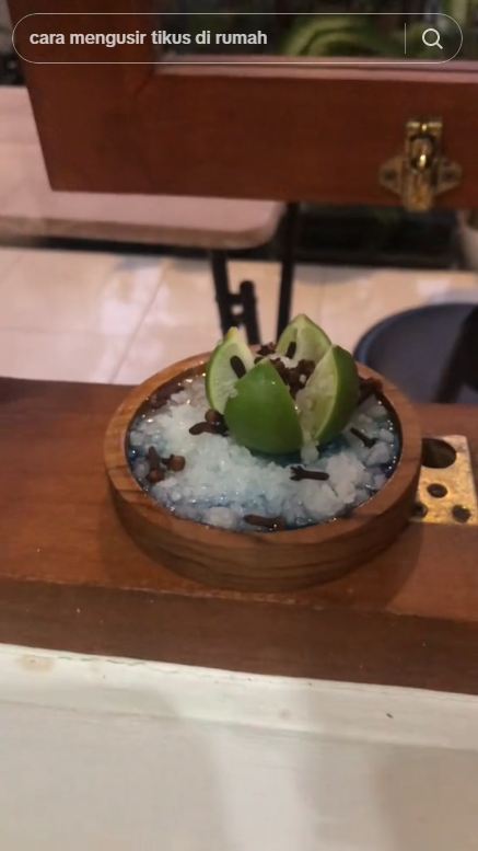 Bermodal 3 bahan dapur, begini trik mengusir nyamuk dan kecoak secara alami tanpa semprotan khusus