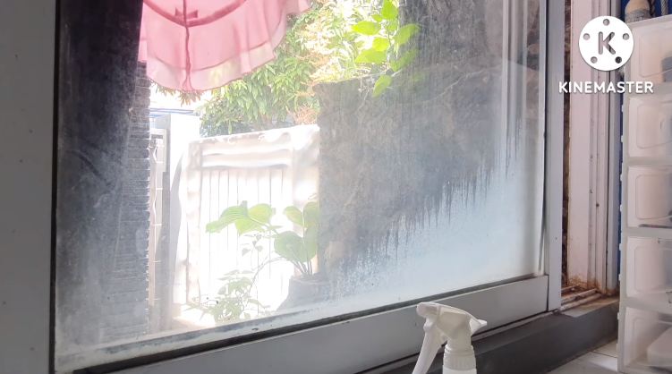 Pakai 1 bahan dapur, ini cara mudah bersihkan jendela kaca kusam dan berdebu agar kembali kinclong