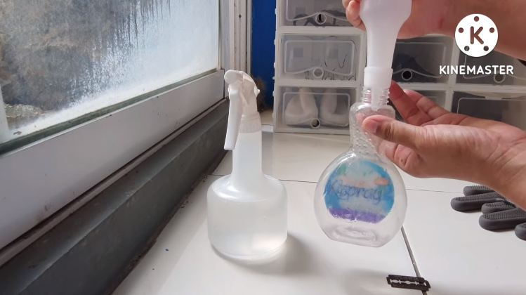 Pakai 1 bahan dapur, ini cara mudah bersihkan jendela kaca kusam dan berdebu agar kembali kinclong