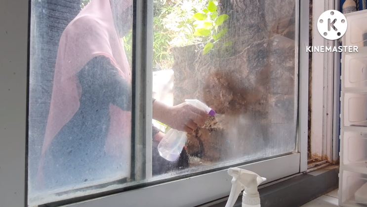 Pakai 1 bahan dapur, ini cara mudah bersihkan jendela kaca kusam dan berdebu agar kembali kinclong