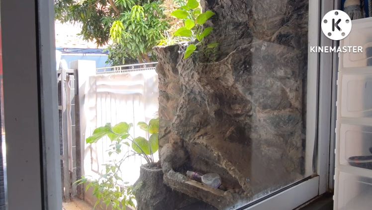 Pakai 1 bahan dapur, ini cara mudah bersihkan jendela kaca kusam dan berdebu agar kembali kinclong