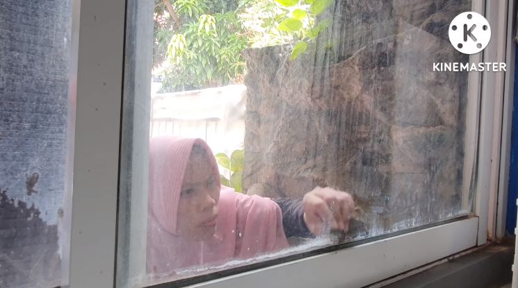 Pakai 1 bahan dapur, ini cara mudah bersihkan jendela kaca kusam dan berdebu agar kembali kinclong