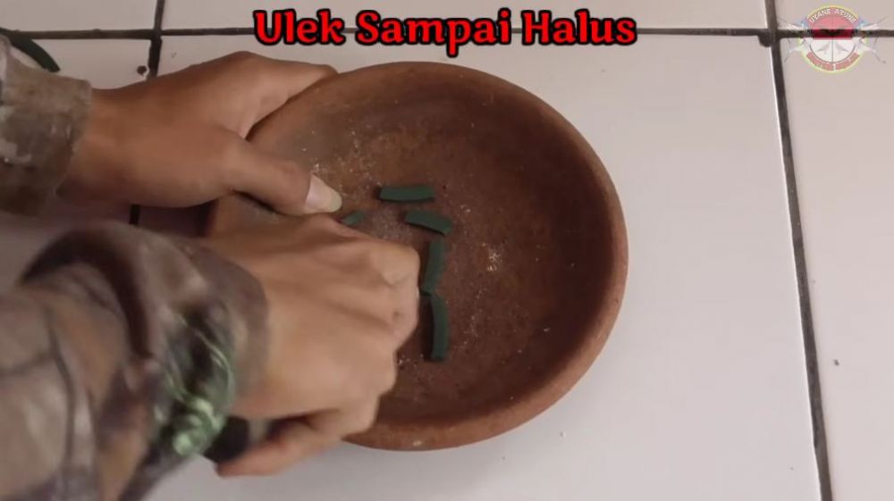 Lebih alami dan ampuh, ini cara jitu meracik racun tikus pakai 2 bahan dapur