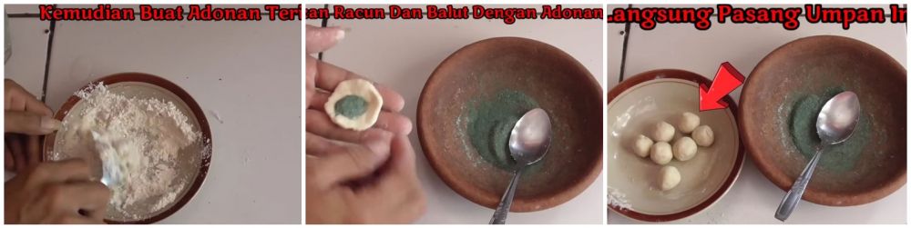 Lebih alami dan ampuh, ini cara jitu meracik racun tikus pakai 2 bahan dapur
