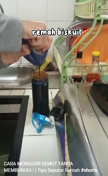 Tak perlu dibunuh, ini trik ampuh mengusir semut hanya pakai 1 bahan dapur