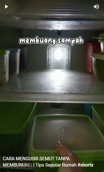 Tak perlu dibunuh, ini trik ampuh mengusir semut hanya pakai 1 bahan dapur