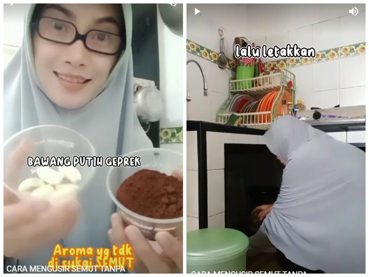 Tak perlu dibunuh, ini trik ampuh mengusir semut hanya pakai 1 bahan dapur