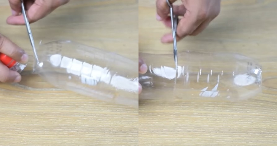 Cuma modal 2 sampah dapur, ini cara bikin perangkap tikus sederhana