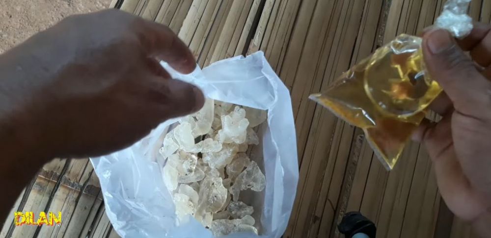 Tambah 1 bahan dapur, ini cara bikin lem tikus yang ampuh dan alami tanpa campuran kimia