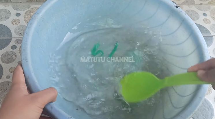 Cuma pakai 2 bahan dapur, begini cara ampuh basmi kecoak tanpa perlu bikin perangkap