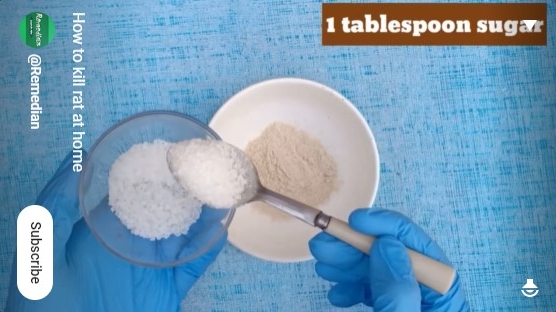 Cukup pakai 3 bahan dapur, begini cara bikin racun tikus yang ampuh dan antiribet