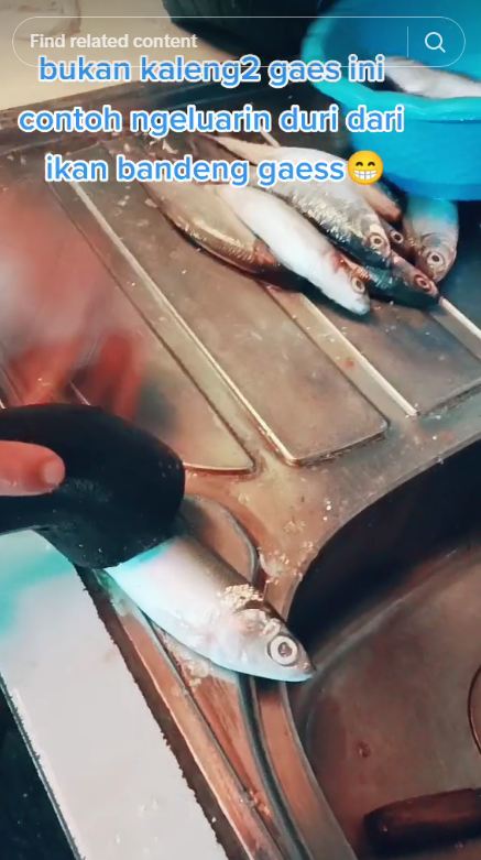 Tanpa presto atau dibelah dulu, begini trik mengeluarkan duri ikan bandeng pakai 1 alat sederhana