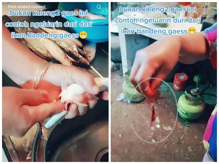 Tanpa presto atau dibelah dulu, begini trik mengeluarkan duri ikan bandeng pakai 1 alat sederhana