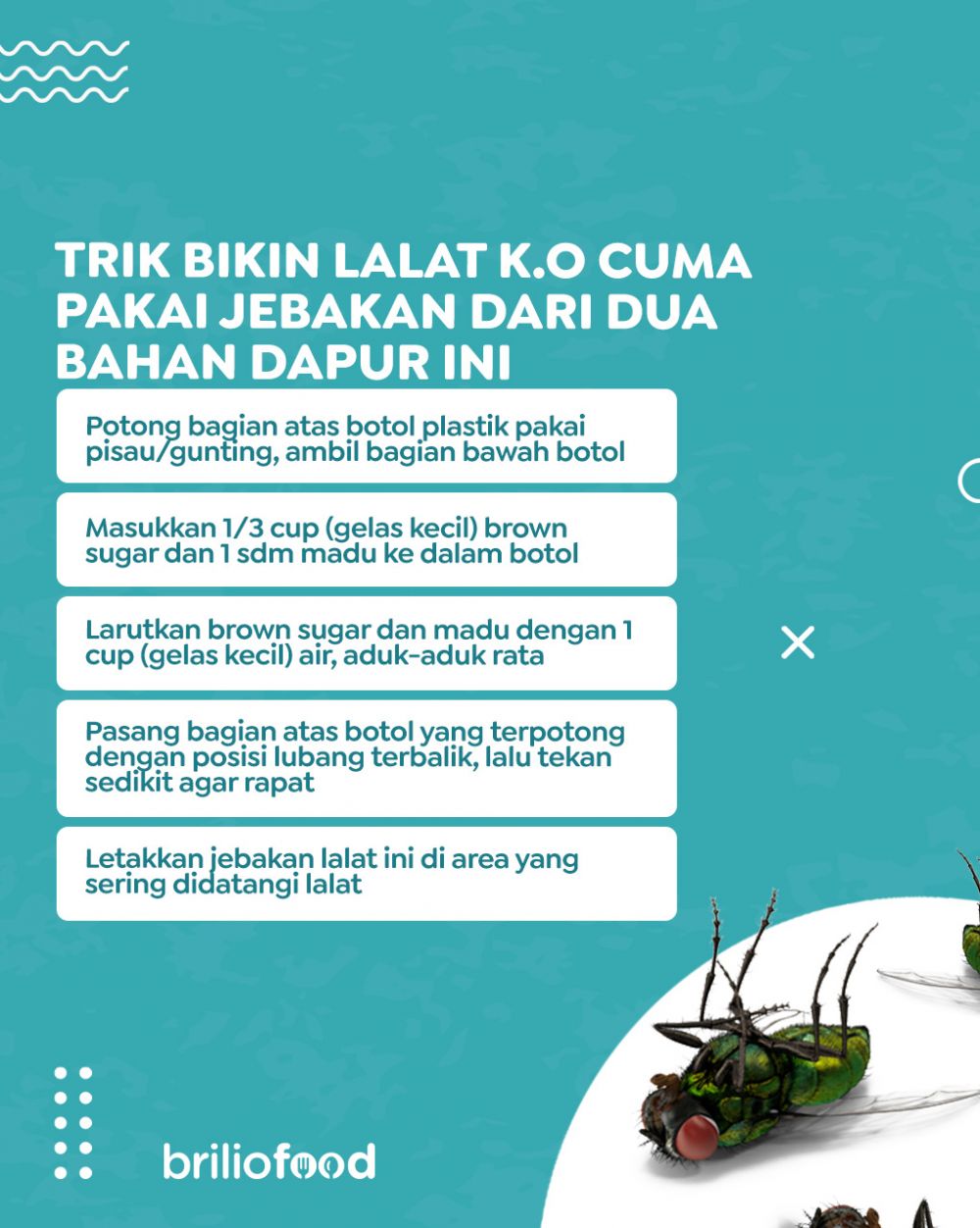 Alami pakai 2 bahan dapur, ini trik bikin jebakan lalat yang ampuh dan praktis dibuat