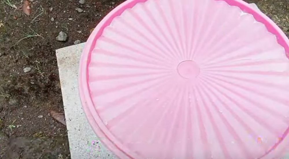 Cuma pakai 1 jenis daun, begini trik menyimpan beras agar bebas kutu dan tak bau apek