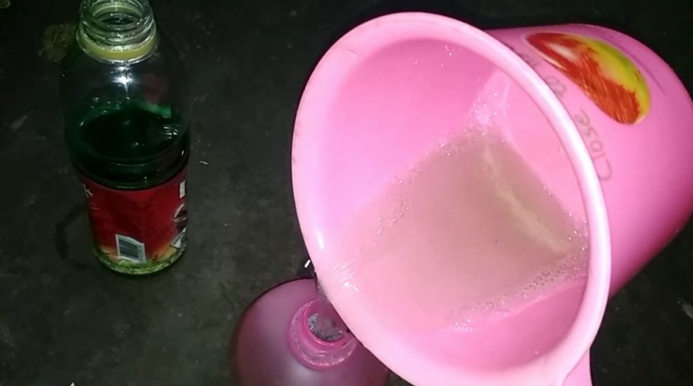 Cara cepat dan aman basmi sarang tawon tanpa tersengat, cukup pakai 1 bahan dapur