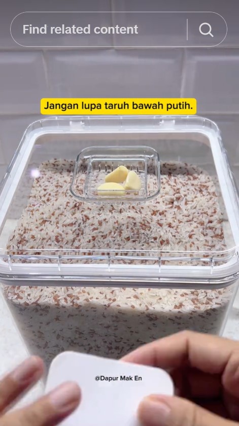 Tanpa daun jeruk, begini trik menyimpan beras agar tidak berkutu pakai 1 bahan dapur