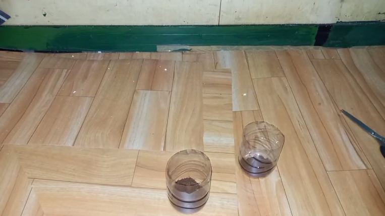 Bukan pakai terasi, ini cara mudah bikin perangkap kecoak mengandalkan 2 bahan dapur