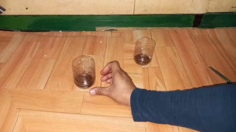 Bukan pakai terasi, ini cara mudah bikin perangkap kecoak mengandalkan 2 bahan dapur