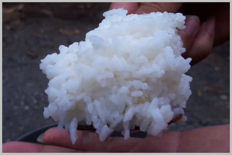 Cara mudah masak nasi pakai nesting, hasilnya matang sempurna dan antigosong