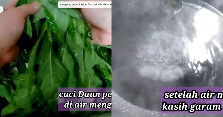 Tak perlu diberi baking soda atau asam jawa, ini trik agar tumis daun pepaya antipahit dan tetap hijau