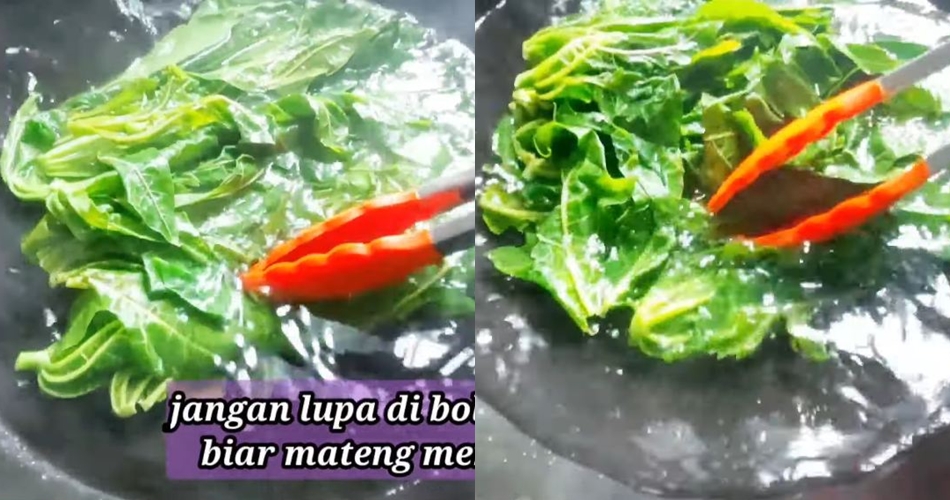 Tak perlu diberi baking soda atau asam jawa, ini trik agar tumis daun pepaya antipahit dan tetap hijau