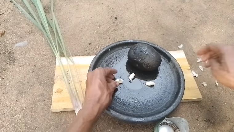 Cuma modal 3 bahan dapur, ini cara sederhana bikin cairan pengusir tikus yang ampuh