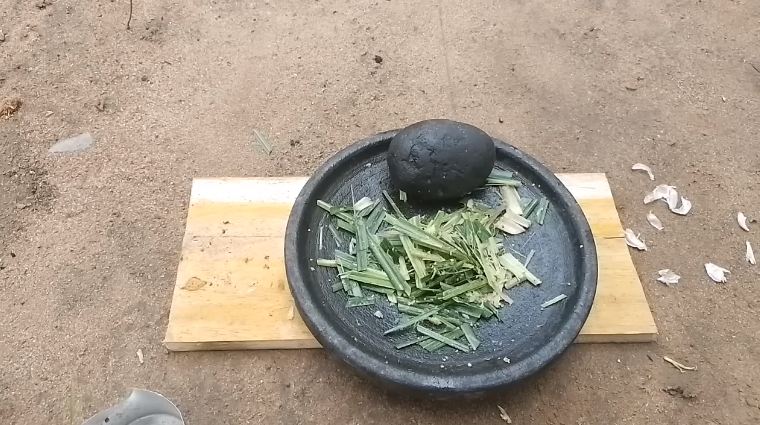 Cuma modal 3 bahan dapur, ini cara sederhana bikin cairan pengusir tikus yang ampuh