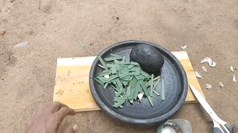 Cuma modal 3 bahan dapur, ini cara sederhana bikin cairan pengusir tikus yang ampuh