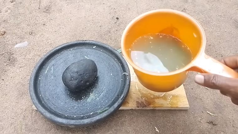 Cuma modal 3 bahan dapur, ini cara sederhana bikin cairan pengusir tikus yang ampuh