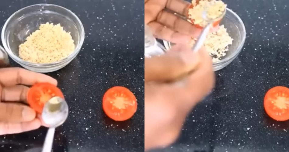 Cara bikin racun pembasmi tikus simpel dan efektif, cukup manfaatkan 2 bahan makanan