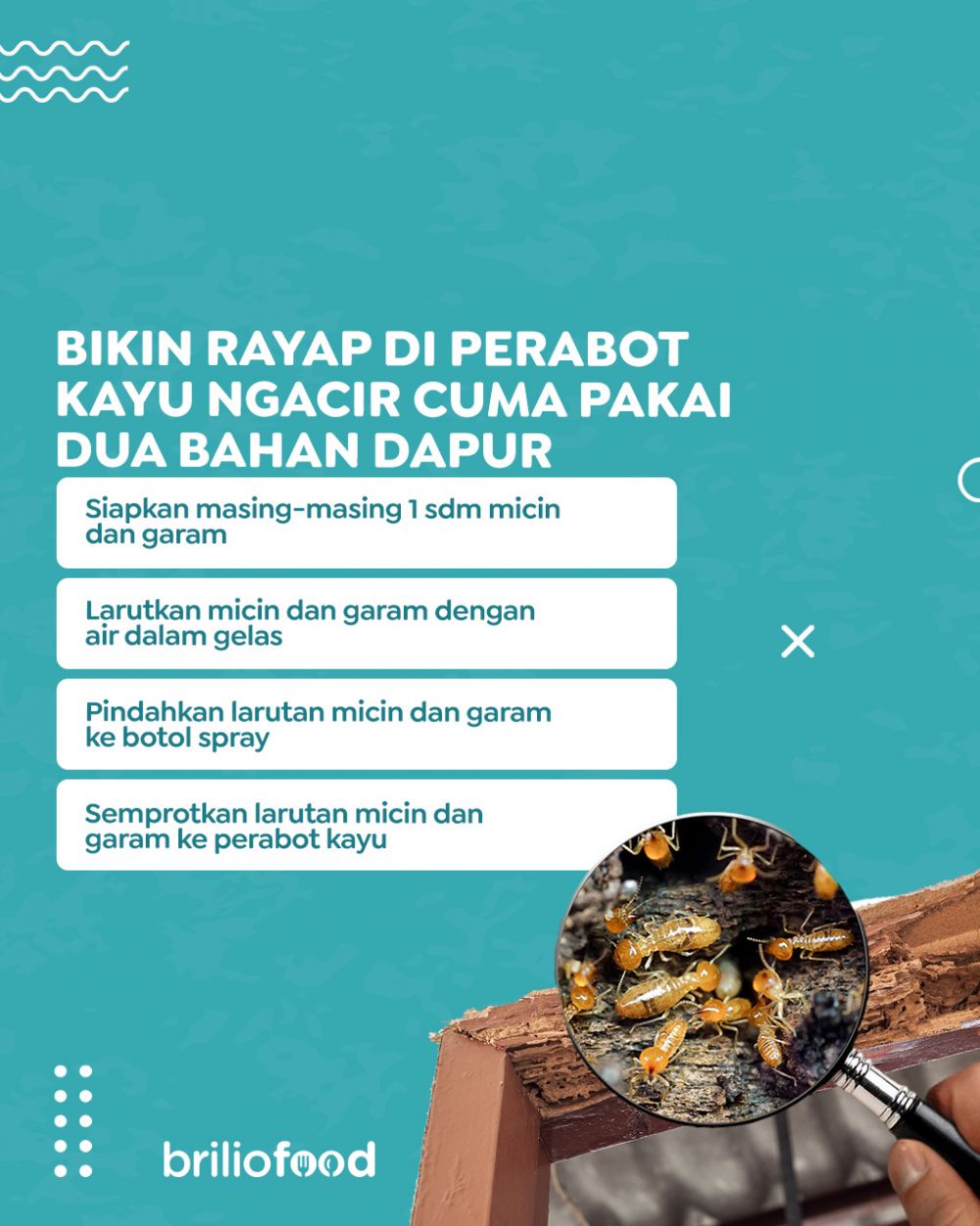 Trik mengusir rayap di pintu maupun perabot kayu, sederhana cuma pakai 2 bahan dapur
