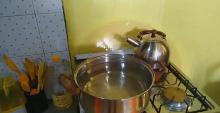 Tanpa perlu buat jebakan, ini trik mudah mengusir lalat kamar mandi cuma pakai 2 bahan dapur