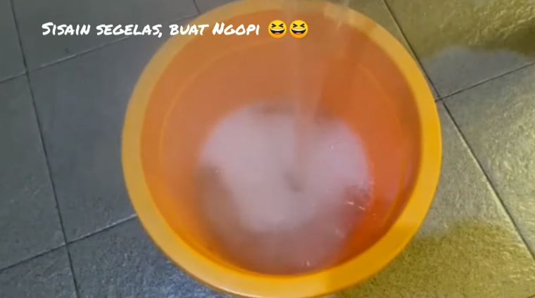 Tanpa perlu buat jebakan, ini trik mudah mengusir lalat kamar mandi cuma pakai 2 bahan dapur