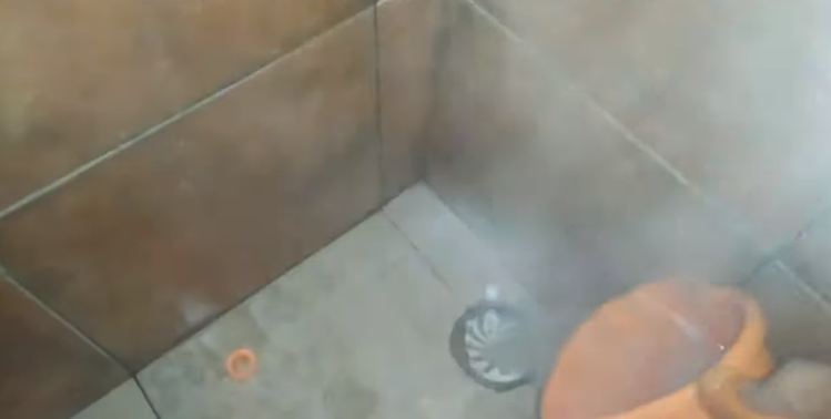 Tanpa perlu buat jebakan, ini trik mudah mengusir lalat kamar mandi cuma pakai 2 bahan dapur