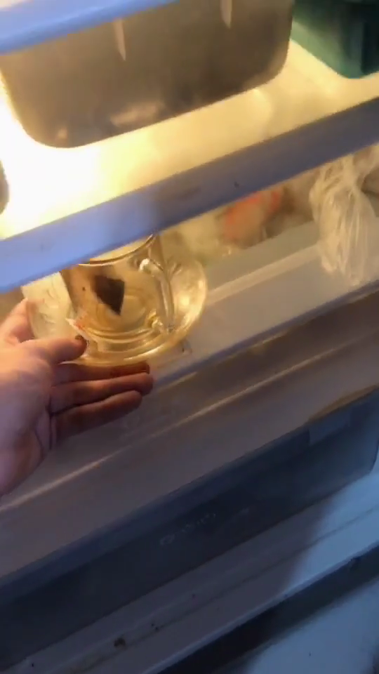 Bukan pakai kopi, ini cara mudah hilangkan bau di kulkas cuma pakai 1 ampas minuman