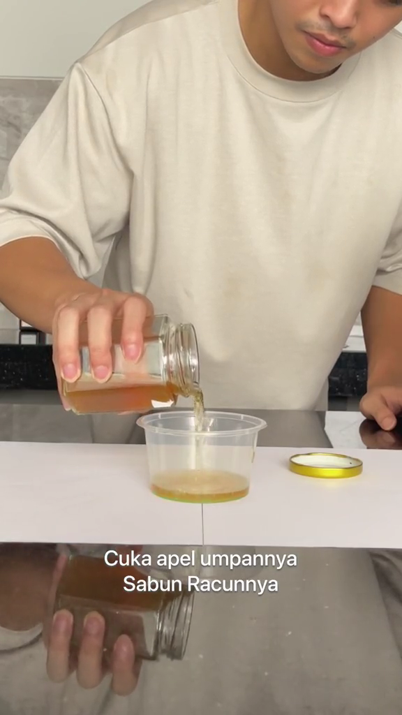 Tanpa cairan kimia, ini trik ampuh membunuh lalat di dalam kulkas pakai 2 bahan dapur