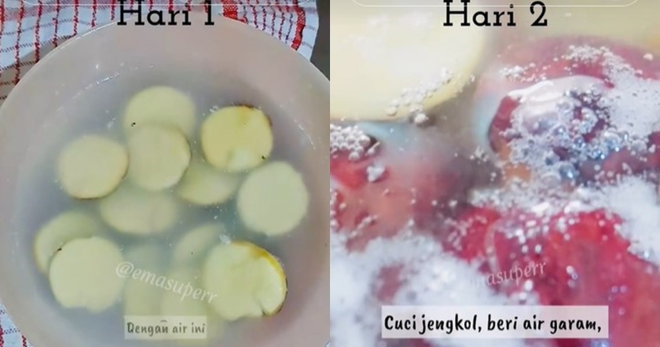 Jangan cuma direbus, begini trik mengolah jengkol supaya nggak bau dan tak merusak ginjal